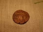 DSC07828.jpg