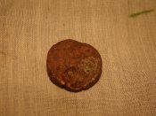 DSC07831.jpg