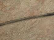 спальник-2 206.jpg