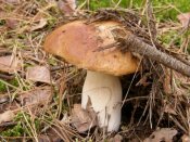 P9278864 [640x480].JPG