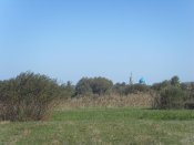 SDC12983.jpg
