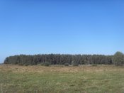 SDC12984.jpg