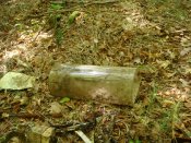 DSC01828.jpg