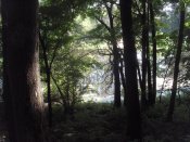 SDC13052.jpg