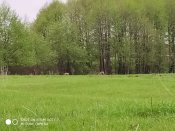 IMG_20190502_134729.jpg