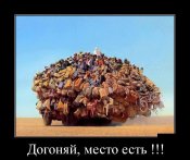 Super-demotivatory-2016-4.jpg