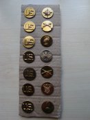 DSC05810.JPG