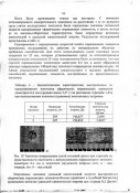 img027.jpg