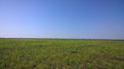 WP_20190504_10_16_01_Pro.jpg