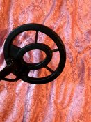 IMG_1034.jpg