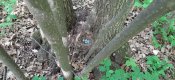 20190504_144631.jpg