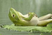 20eJ.gif