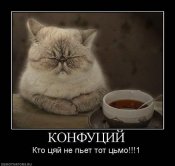 x_7e861566.jpg