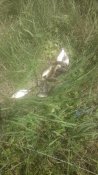 IMG_20190504_125815.jpg