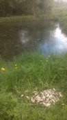 IMG_20190504_150825.jpg