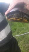 IMG_20190504_175159.jpg