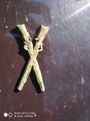 IMG_20190505_093335.jpg