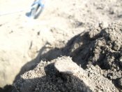 IMG_0340.JPG