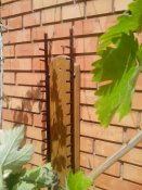 IMG_20190507_123506.jpg