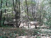 2012-10-01 11.12.48.jpg