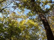2012-10-01 11.12.59.jpg