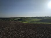 IMG_20190506_065423.jpg