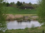 IMG_20190507_151832.jpg