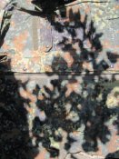 IMG_0164.JPG