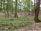 IMG_20190507_182429.jpg