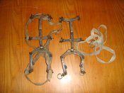 DSC08039.jpg