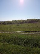 IMG_20190509_091931.jpg