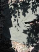 IMG_0180.JPG