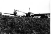 flieger100807.jpg
