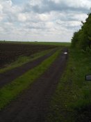IMG_20190511_112704.jpg