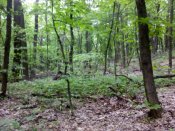 IMG_20190512_123456.jpg