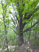 IMG_20190512_172638.jpg