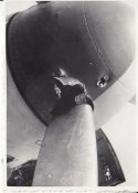 6.JG 53 Frühjahr-Sommer 1942 in Comiso mit Beschußschaden.jpg