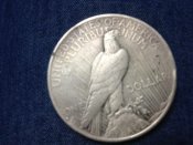 65587_3713660999989_1089148391_n[1].jpg