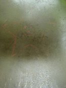 DSC01504.JPG