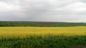 IMG_20190515_192823.jpg