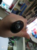 P90516-124152.jpg
