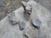 IMG_20190501_100241.jpg