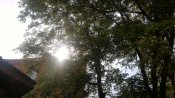P_20190518_075616.jpg