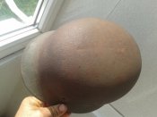 20190518_100724.jpg