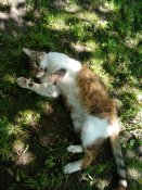 IMG_20190519_104846_1.jpg