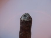 IMG_6689.JPG