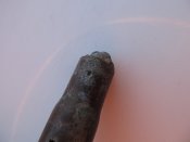 IMG_6691.JPG