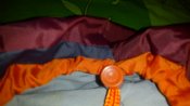 IMG_20190521_120548.jpg