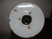 DSCN1227.JPG