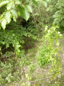 IMG_20190521_144237.jpg